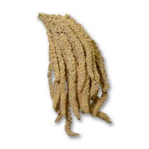 Panico in Grappoli Francese 